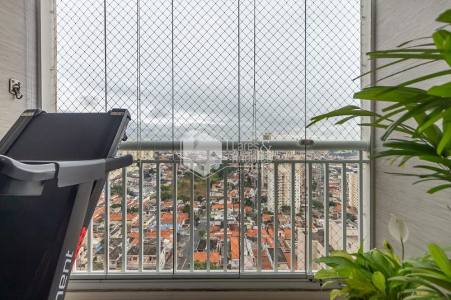 Imagem Apartamento com 3 Quartos à Venda, 65 m² em Vila Vera - São Paulo