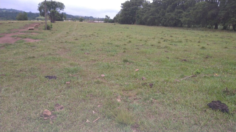 Imagem Fazenda à Venda, 42 m² em Rural - Avaré Imagem Fazenda à Venda, 42 m² em Rural - Avaré