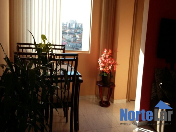 Imagem Apartamento com 2 Quartos à Venda, 55 m² em Parque São Luís - São Paulo