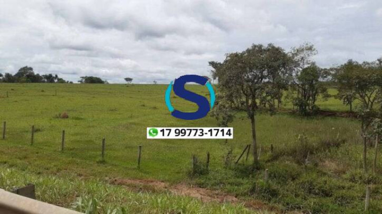 Imagem Chácara à Venda, 1 m² em Centro - Fernandópolis Imagem Chácara à Venda, 1 m² em Centro - Fernandópolis