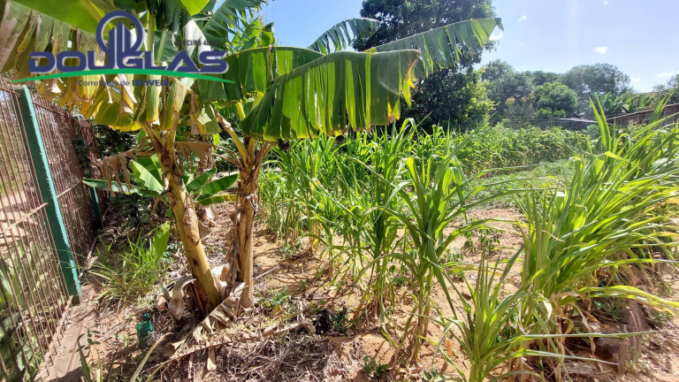 Imagem Terreno à Venda, 440 m² em águas Claras - Viamão Imagem Terreno à Venda, 440 m² em águas Claras - Viamão