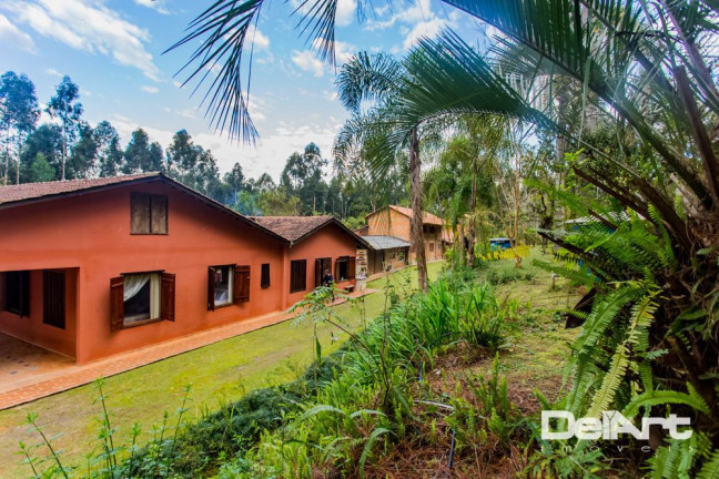 Imagem Chácara com 7 Quartos à Venda, 36.600 m² em Roseira - Rio Negro Imagem Chácara com 7 Quartos à Venda, 36.600 m² em Roseira - Rio Negro