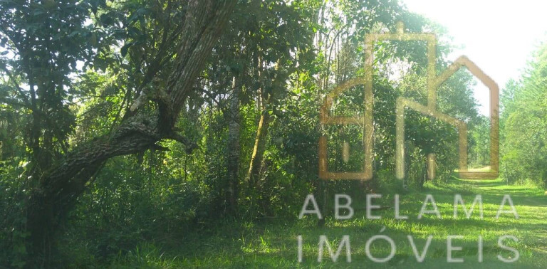 Terreno à Venda, 5.200 m² em Moreiras - Mairinque
