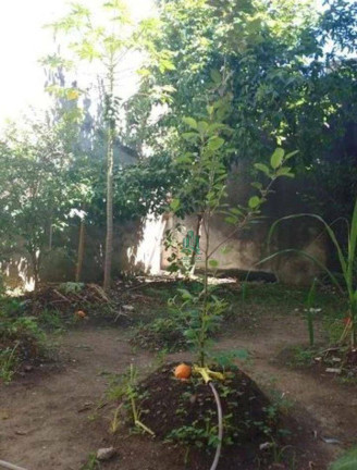 Imagem Sobrado com 2 Quartos à Venda, 200 m² em Jardim Adriana - Guarulhos Imagem Sobrado com 2 Quartos à Venda, 200 m² em Jardim Adriana - Guarulhos