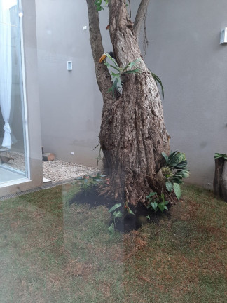 Imagem Casa com 4 Quartos à Venda, 340 m² em Jardim Da Saúde - São Paulo