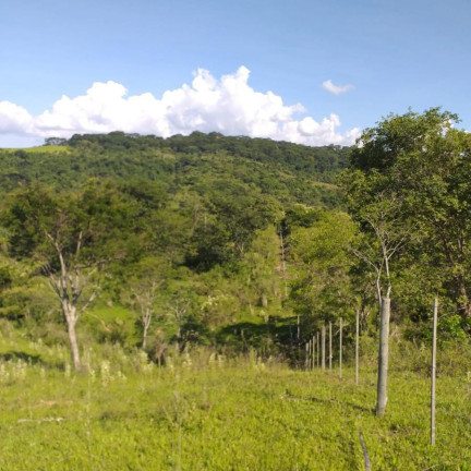 Imagem Fazenda à Venda, 179 m² em Rural - Garça Imagem Fazenda à Venda, 179 m² em Rural - Garça