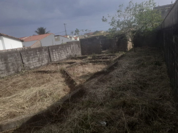 Imagem Terreno à Venda, 250 m² em Balneário Pampas - Peruíbe