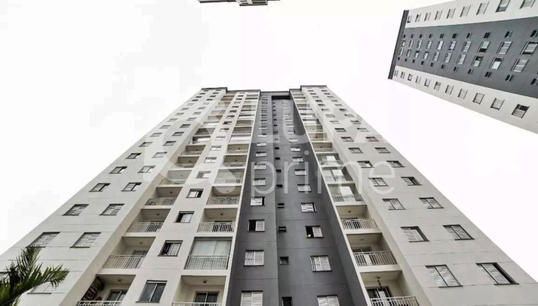 Imagem Apartamento com 2 Quartos à Venda, 47 m² em Parque Novo Mundo - São Paulo Imagem Apartamento com 2 Quartos à Venda, 47 m² em Parque Novo Mundo - São Paulo