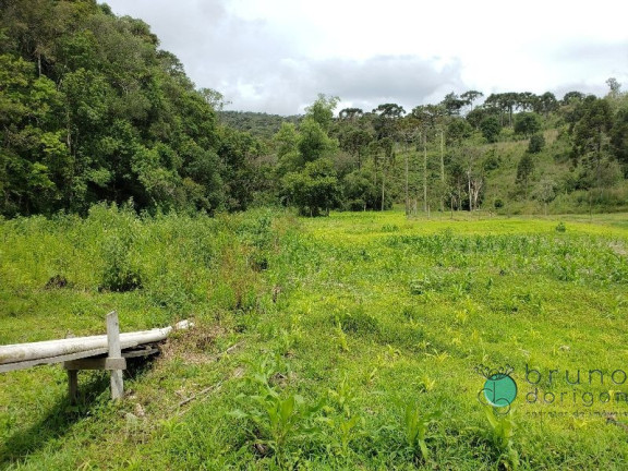 Imagem Imóvel com 3 Quartos à Venda, 350.000 m² em Zona Rural - Bom Retiro