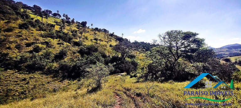 Imagem Chácara à Venda, 44 m² em Centro - Paraisópolis Imagem Chácara à Venda, 44 m² em Centro - Paraisópolis