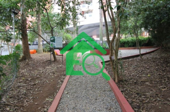 Imagem Apartamento com 3 Quartos à Venda, 77 m² em Vila Sofia - São Paulo Imagem Apartamento com 3 Quartos à Venda, 77 m² em Vila Sofia - São Paulo