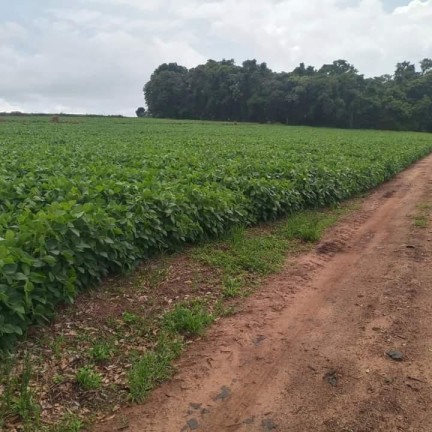Imagem Chácara à Venda, 24 m² em Rural - Itatinga Imagem Chácara à Venda, 24 m² em Rural - Itatinga
