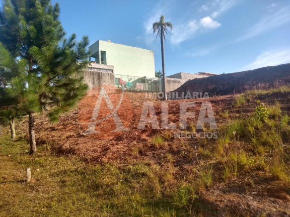 Imagem Terreno à Venda, 534 m² em Portal Do Santa Paula - Cotia