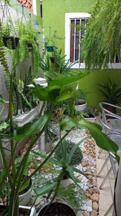 Imagem Casa com 3 Quartos à Venda, 97 m² em Residencial Santa Paula - Jacareí