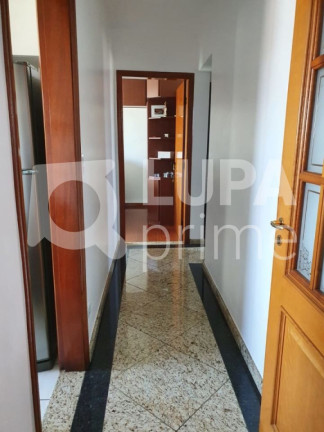 Imagem Apartamento com 3 Quartos à Venda, 98 m² em Vila Maria - São Paulo Imagem Apartamento com 3 Quartos à Venda, 98 m² em Vila Maria - São Paulo