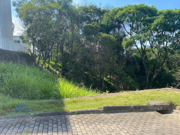 Imagem Terreno à Venda, 794 m² em Córrego Grande - Florianópolis Imagem Terreno à Venda, 794 m² em Córrego Grande - Florianópolis