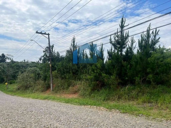 Imagem Terreno em Condomínio à Venda, 4.973 m² em Granja Viana - Cotia Imagem Terreno em Condomínio à Venda, 4.973 m² em Granja Viana - Cotia