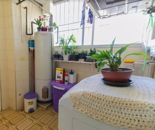 Imagem Imóvel com 3 Quartos à Venda, 114 m² em Jardim Aeroporto - São Paulo Imagem Imóvel com 3 Quartos à Venda, 114 m² em Jardim Aeroporto - São Paulo
