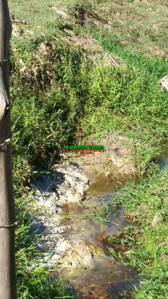 Imagem Fazenda à Venda, 30 m² em Centro - Monteiro Lobato Imagem Fazenda à Venda, 30 m² em Centro - Monteiro Lobato