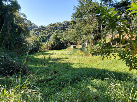 Imagem Imóvel com 3 Quartos à Venda, 70.000 m² em Vargem Grande - Teresópolis