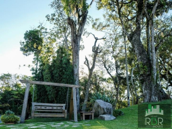 Imagem Casa com 4 Quartos à Venda, 213 m² em Caxias Do Sul