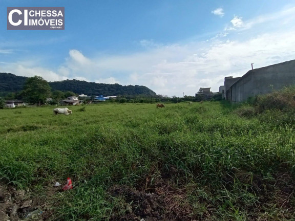 Imagem Terreno à Venda, 33.367 m² em Espinheiros - Itajaí