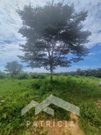 Imagem Imóvel com 2 Quartos à Venda, 140 m² em Zona Rural - Nova Maringá