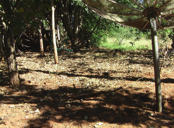 Imagem Imóvel com 1 Quarto à Venda, 21.000 m² em Zona Rural - Palmeiras (dois Irmãos Do Buriti)