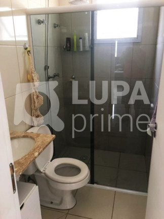 Imagem Apartamento com 3 Quartos à Venda, 98 m² em Vila Maria Alta - São Paulo
