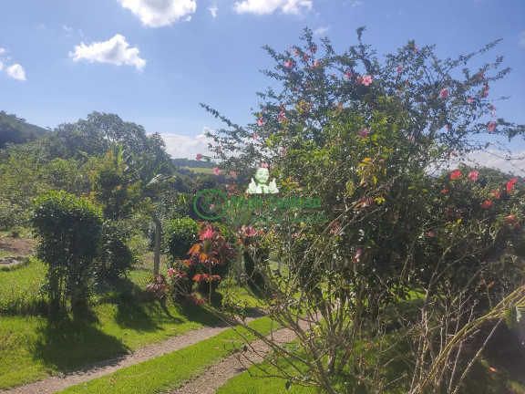Imagem Chácara com 6 Quartos à Venda, 5.000 m² em Centro - Paraibuna