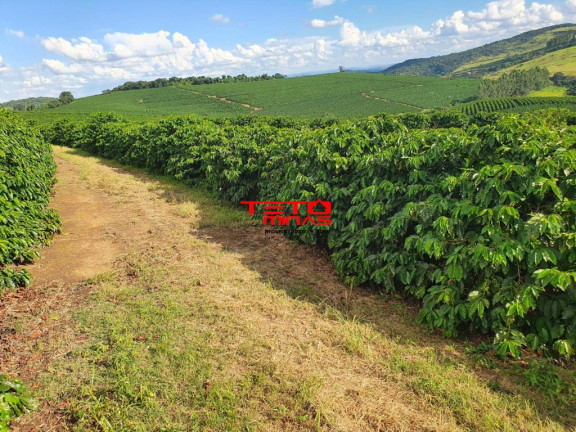 Imagem Imóvel à Venda, em Amparo - Santo Antônio Do Amparo Imagem Imóvel à Venda, em Amparo - Santo Antônio Do Amparo