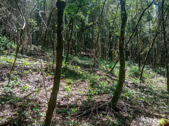 Imagem Terreno à Venda, 1 m² em Nova Capivari - Campos Do Jordão Imagem Terreno à Venda, 1 m² em Nova Capivari - Campos Do Jordão