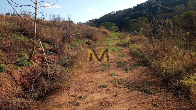 Terreno à Venda, 7.000 m² em Capoavinha - Mairiporã