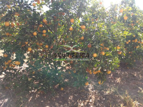 Fazenda à Venda, 26 m² em Monte Alegre De Minas