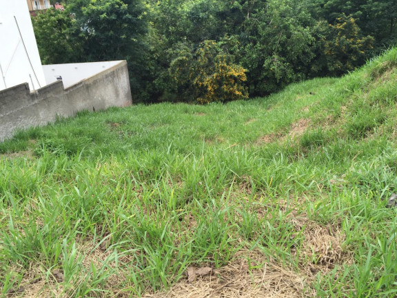 Imagem Terreno à Venda, 125 m² em Jardim Rio Das Pedras - Cotia Imagem Terreno à Venda, 125 m² em Jardim Rio Das Pedras - Cotia