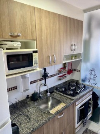 Imagem Apartamento com 3 Quartos à Venda, 63 m² em Vila Moraes - São Paulo
