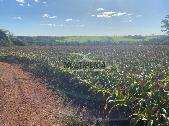 Imagem Fazenda à Venda, 372 m² em Conceição Das Alagoas Imagem Fazenda à Venda, 372 m² em Conceição Das Alagoas