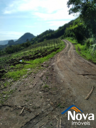 Imagem Imóvel à Venda, 30.000 m² em Vila Rica - Presidente Lucena Imagem Imóvel à Venda, 30.000 m² em Vila Rica - Presidente Lucena