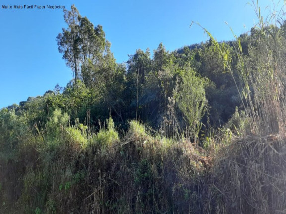Terreno à Venda, 462 m² em Pinhal Alto - Nova Petrópolis