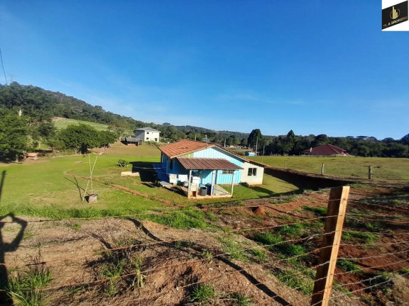Imagem Imóvel com 2 Quartos à Venda, 19.517 m² em Zona Rural - Campo Magro Imagem Imóvel com 2 Quartos à Venda, 19.517 m² em Zona Rural - Campo Magro