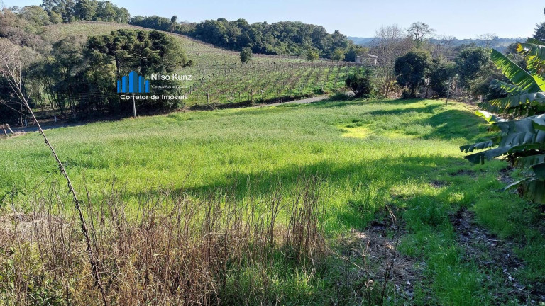 Imagem Chácara à Venda, 34.218 m² em Garibaldi
