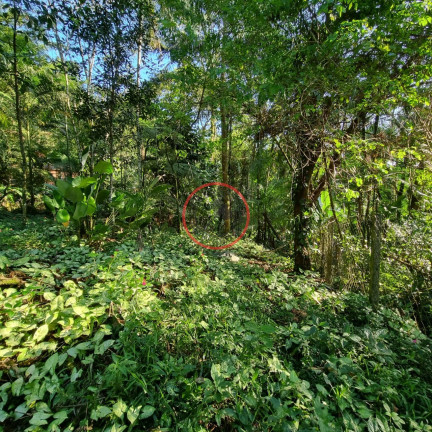 Imagem Terreno à Venda, 400 m² em Boiçucanga - São Sebastião Imagem Terreno à Venda, 400 m² em Boiçucanga - São Sebastião