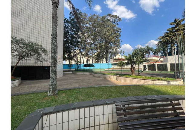 Imagem Imóvel com 4 Quartos à Venda, 278 m² em Saúde - São Paulo Imagem Imóvel com 4 Quartos à Venda, 278 m² em Saúde - São Paulo
