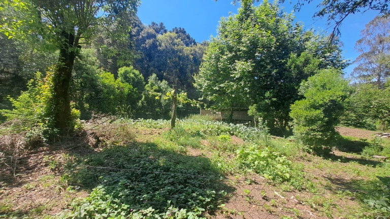 Imagem Chácara à Venda, 158.000 m² em Zona Rural - Boqueirão Do Leão Imagem Chácara à Venda, 158.000 m² em Zona Rural - Boqueirão Do Leão