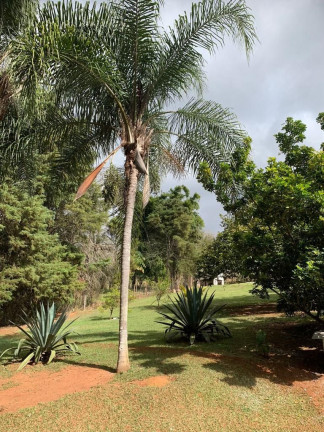 Imagem Chácara com 4 Quartos à Venda, 700 m² em Condomínio Quinta Da Baroneza Ii - Bragança Paulista Imagem Chácara com 4 Quartos à Venda, 700 m² em Condomínio Quinta Da Baroneza Ii - Bragança Paulista