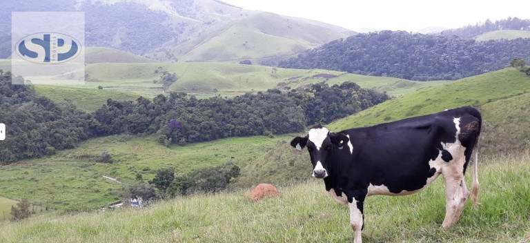 Imagem Terreno à Venda, 1.300.000 m² em Vale Do Paraiba - Piquete