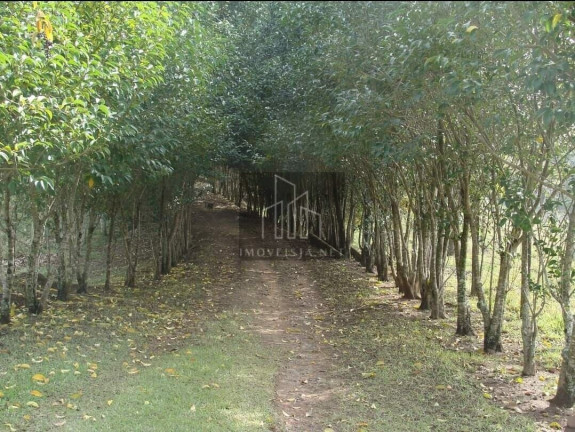 Imagem Imóvel com 5 Quartos à Venda, 80.000 m² em Centro - Jumirim