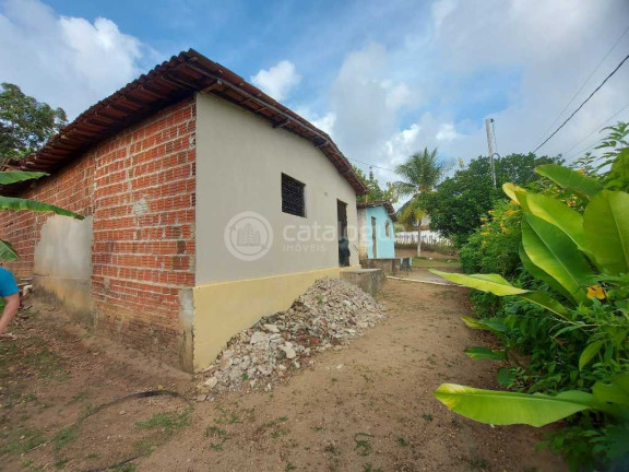 Imagem Fazenda à Venda, 2.000 m² em Zona Rural - São José De Mipibu Imagem Fazenda à Venda, 2.000 m² em Zona Rural - São José De Mipibu