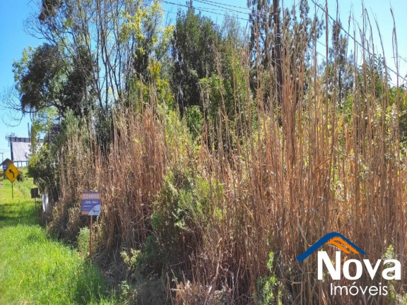 Imagem Imóvel à Venda,  em Linha Araripe - Nova Petrópolis