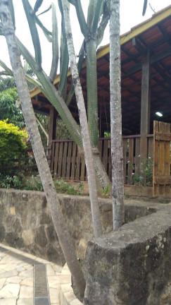 Imagem Chácara com 2 Quartos à Venda, 150 m² em Portão - Atibaia Imagem Chácara com 2 Quartos à Venda, 150 m² em Portão - Atibaia